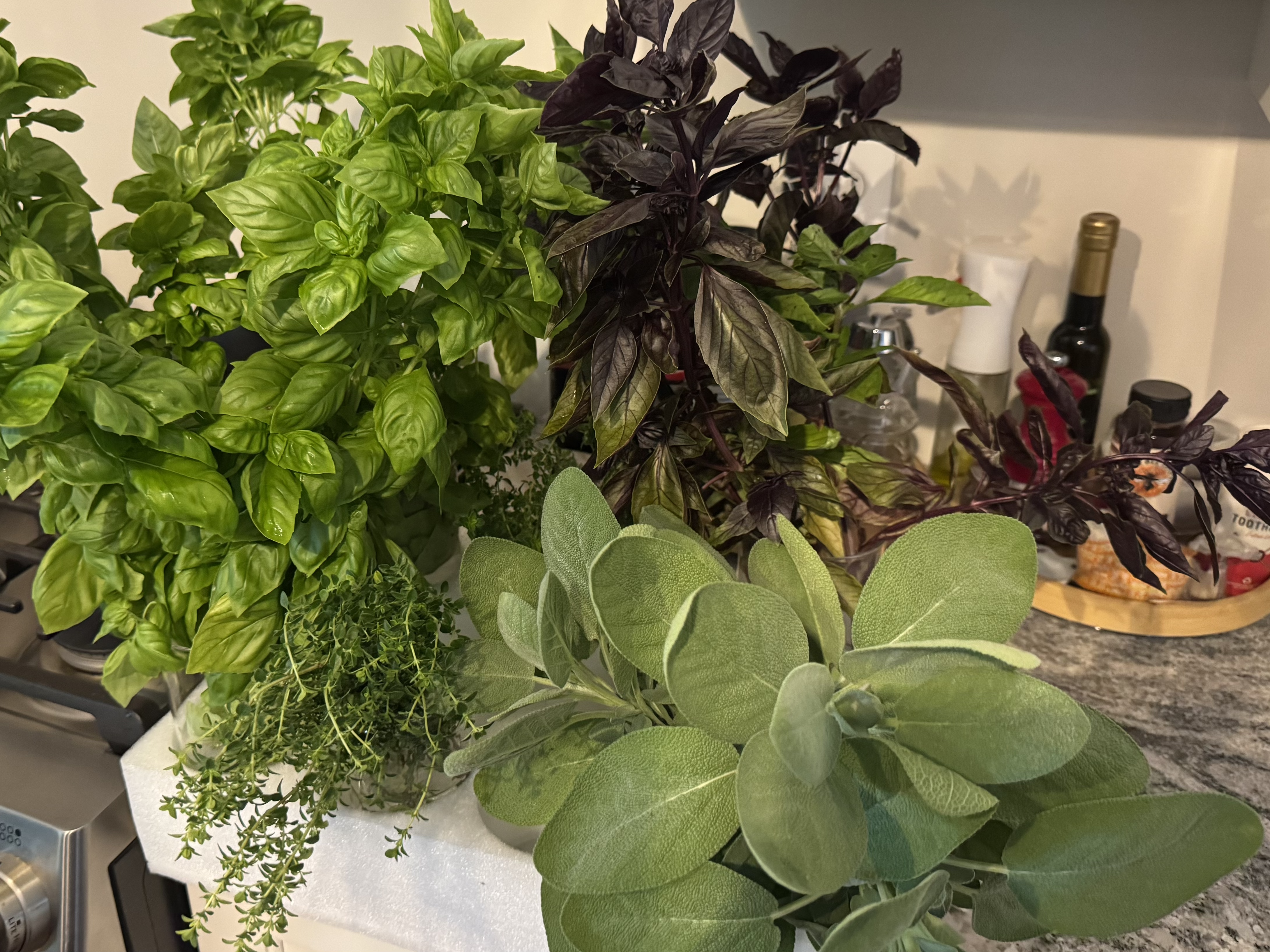 Prepping herbs for market