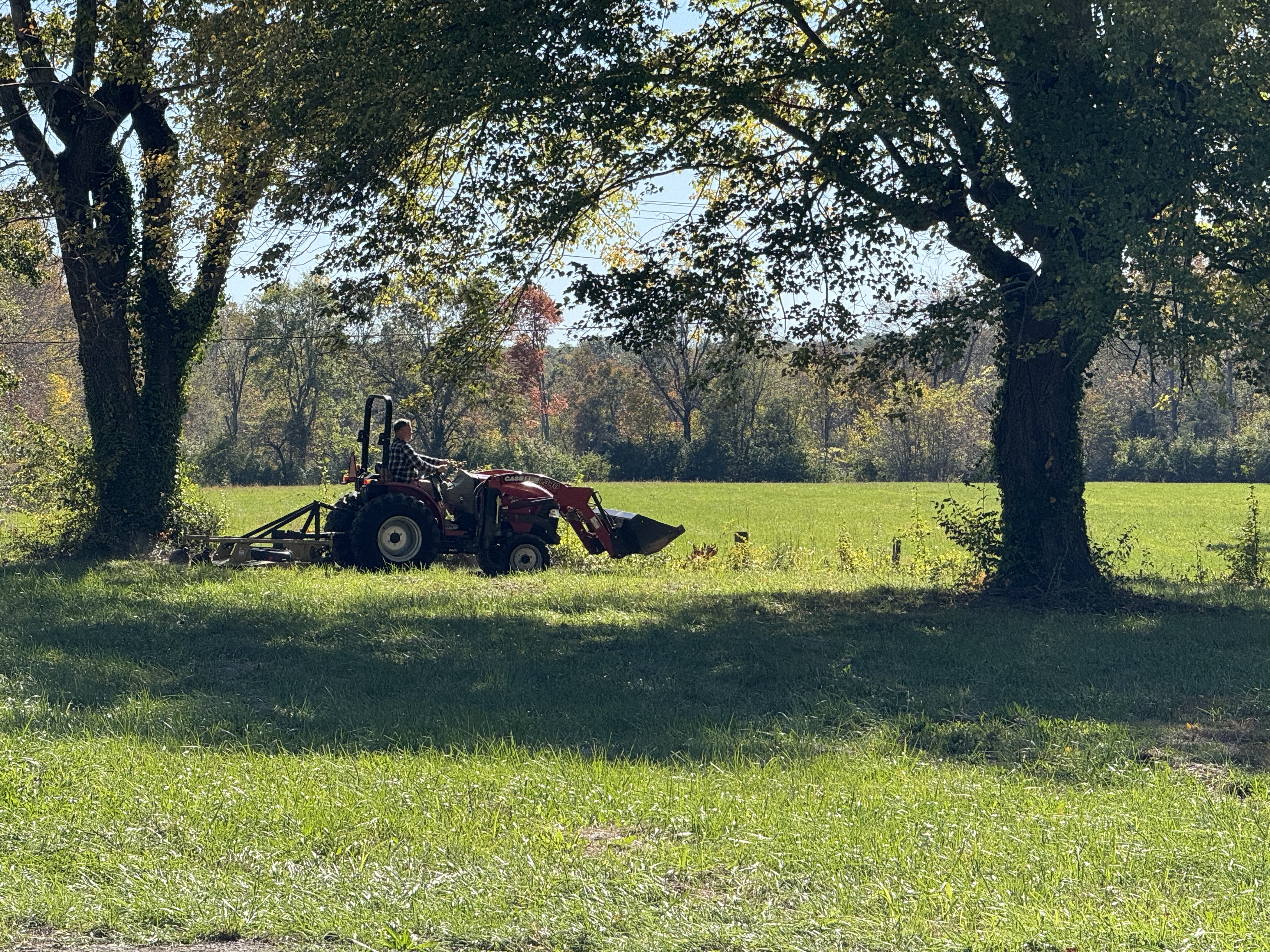 Kevin operating the tractor in the field at Lavender Hive Depot